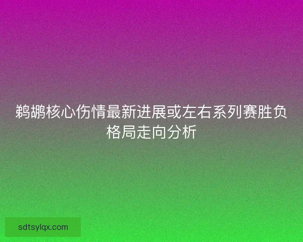 鹈鹕核心伤情最新进展或左右系列赛胜负格局走向分析